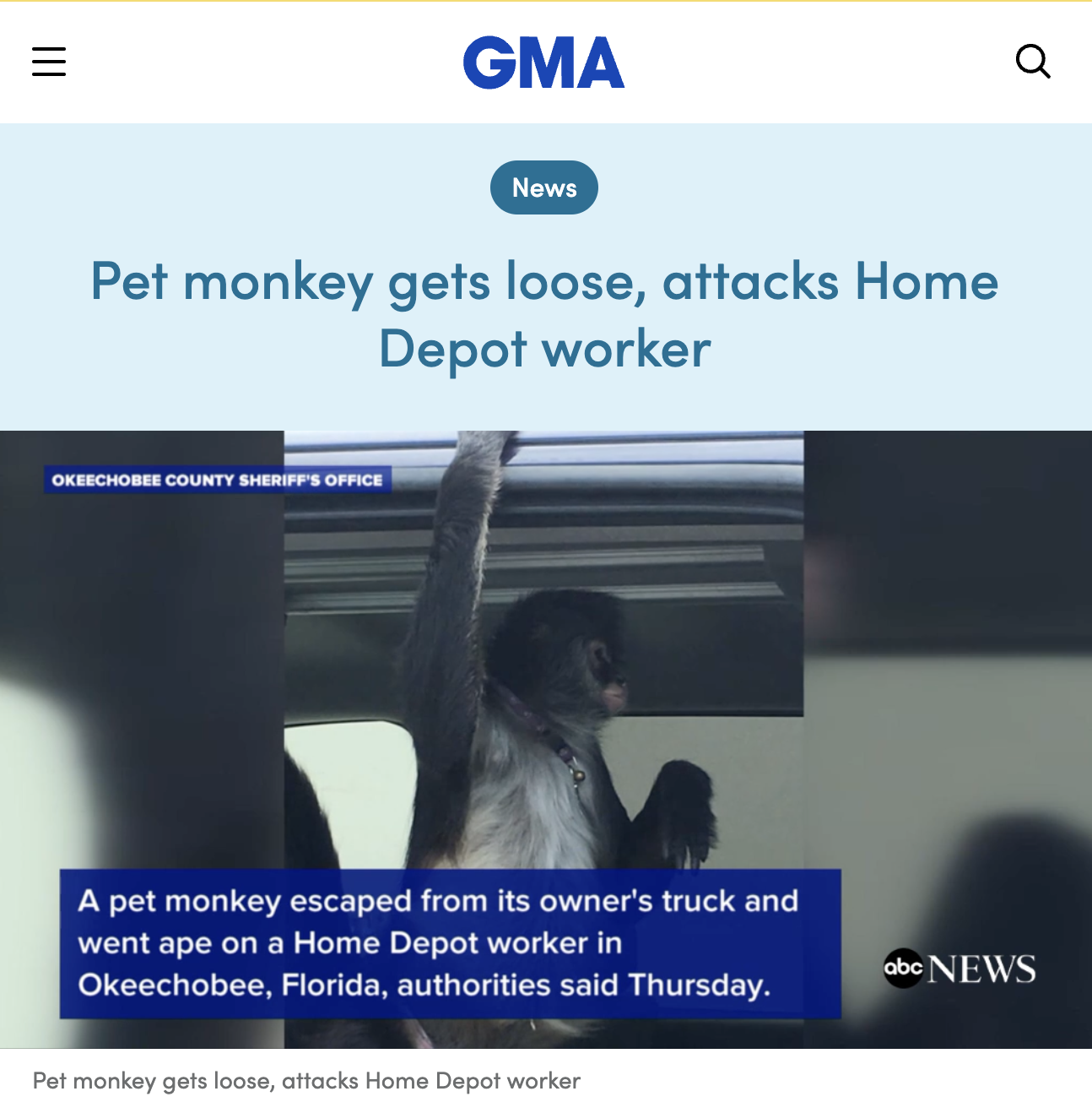 screenshot - Iii Gma News Pet monkey gets loose, attacks Home Depot worker Okeechober County Sheriff'S Office A pet monkey escaped from its owner's truck and went ape on a Home Depot worker in Okeechobee, Florida, authorities said Thursday. Pet monkey get